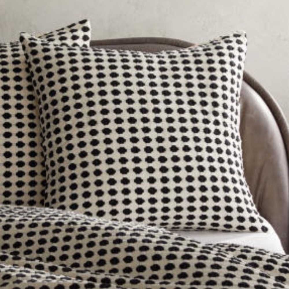 NEW CB2 Estela Black & White Euro Shams